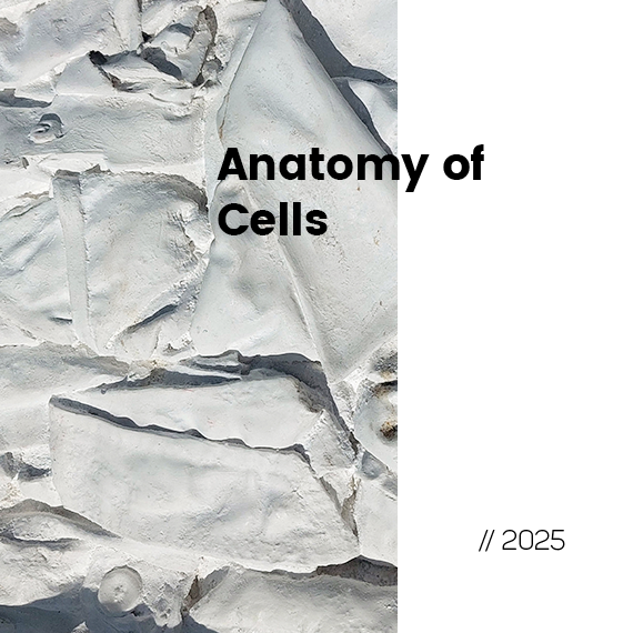 Anatomy of Cells