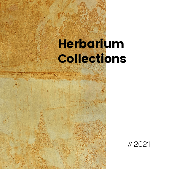 Herbarium Collections
