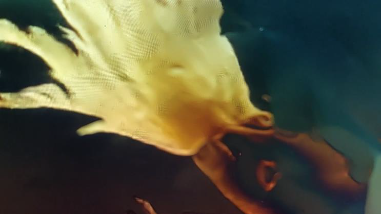 O human race, born to fly upward, wherefore at a little wind dost thou so fall?