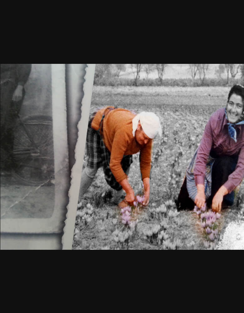 Parallelotopias: The Saffron-gatherers